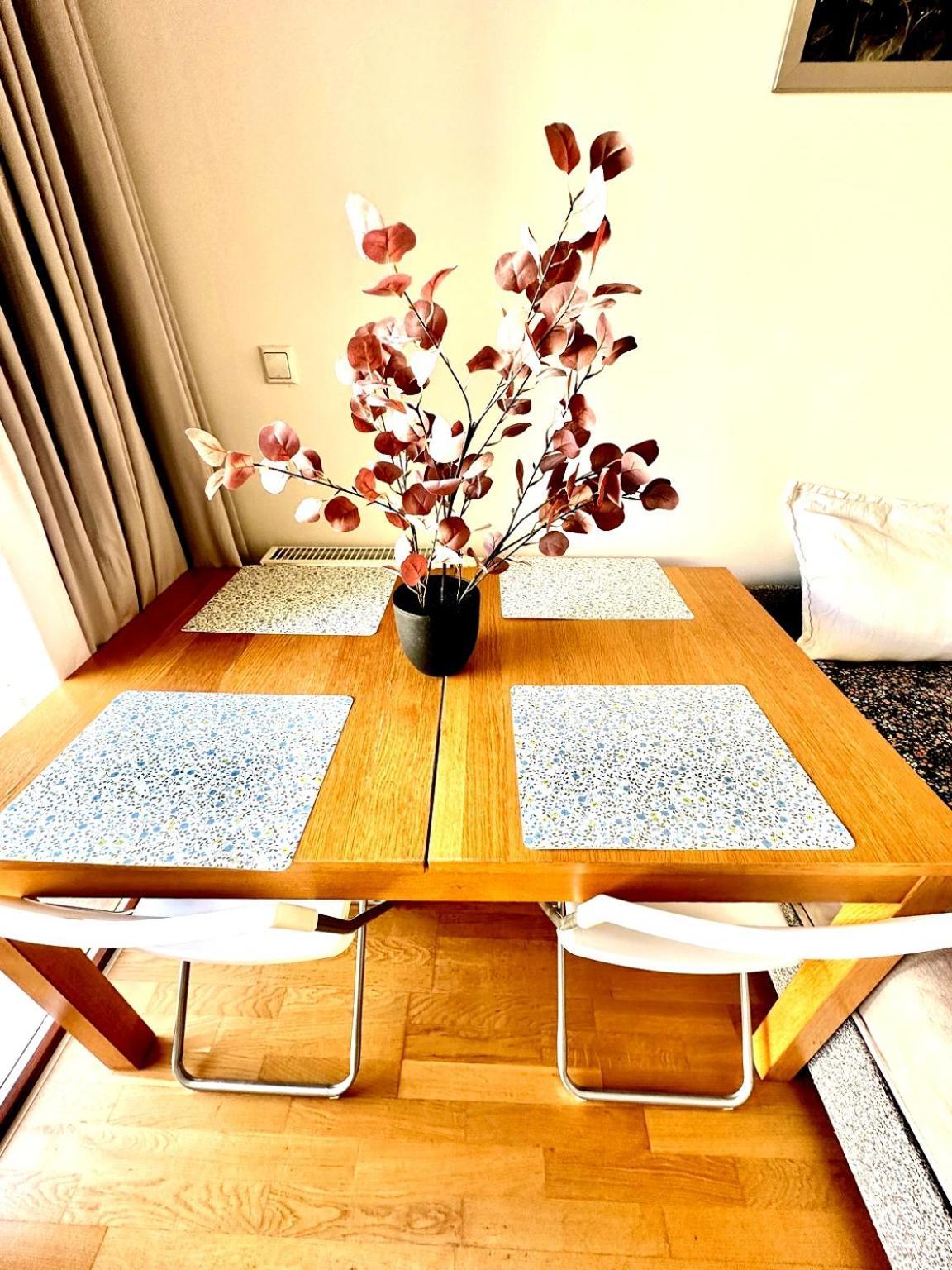 Central Apartment With Balcony Budapeşte Dış mekan fotoğraf